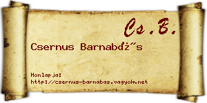 Csernus Barnabás névjegykártya