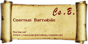 Csernus Barnabás névjegykártya