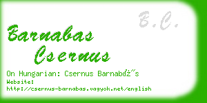 barnabas csernus business card